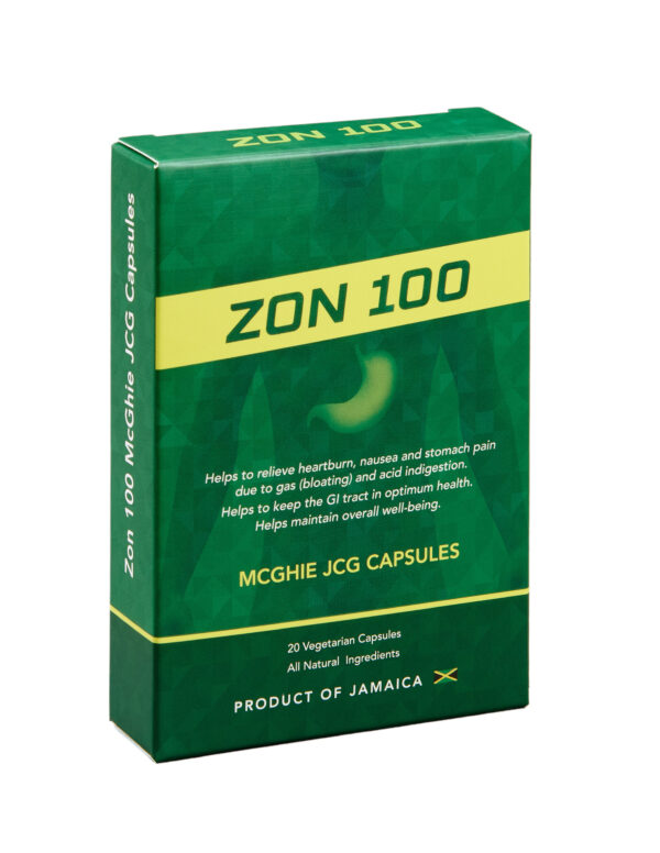 Zon 100 - Image 3