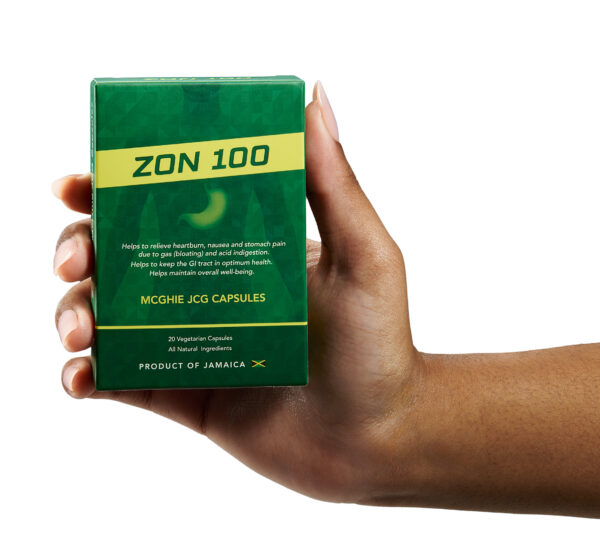 Zon 100 - Image 2